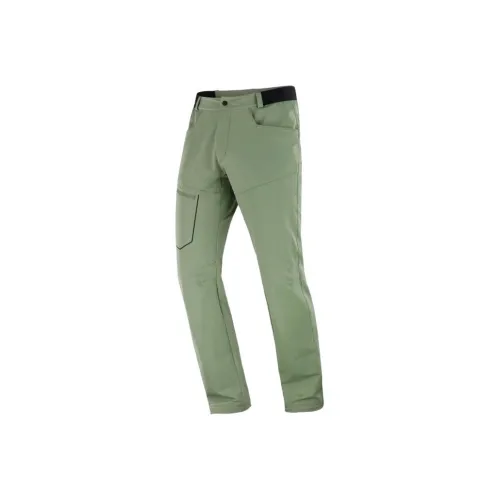 SALOMON WAYFARER Карго Брюки Мужские Зеленые