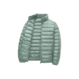 Горох Зеленый