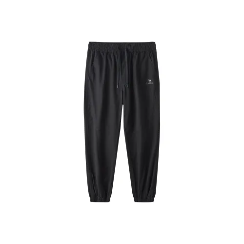 CAMEL Urban Function Series Карго Брюки Мужские