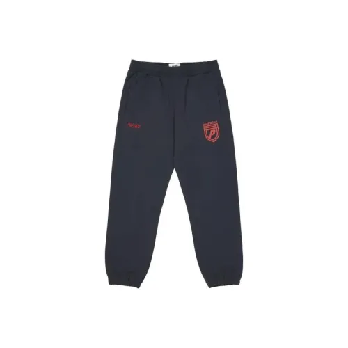 Дворцовые синие мужские вязаные тренировочные штаны