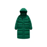 Вечнозелёный