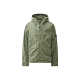 Агаве Зеленый