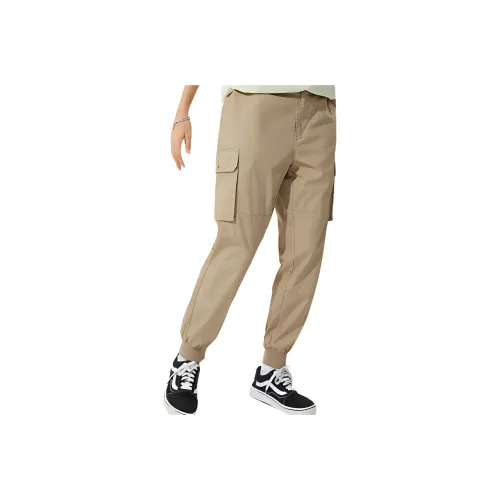 Dickies Песочные Унисекс Брюки Карго