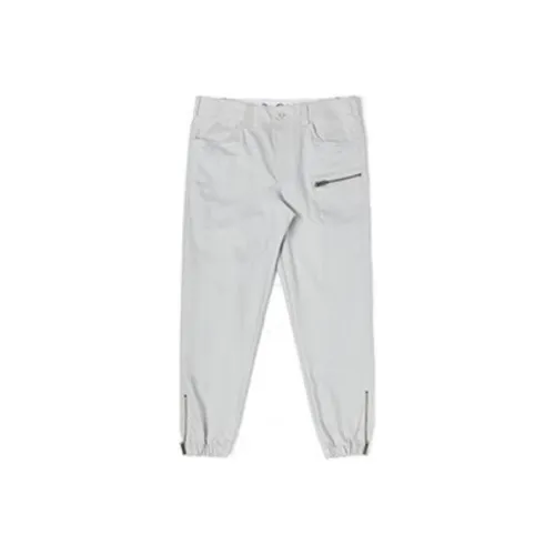 Dickies Унисекс Повседневные Брюки