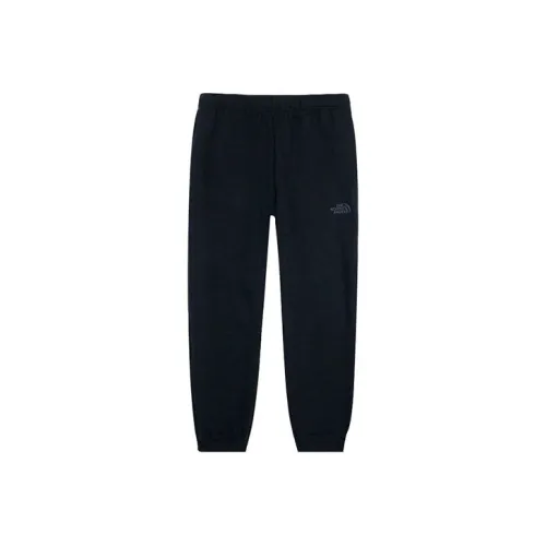 The North Face Черные Мужские Повседневные Штаны