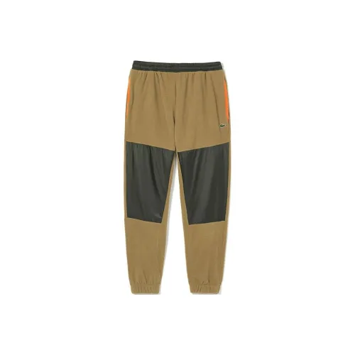 LACOSTE Collaboration Коричнево-зеленые мужские вязаные тренировочные брюки