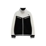 Горный лев, черный