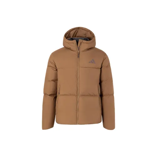 Adidas Down JACKET PUFFY Men's Sand Brown