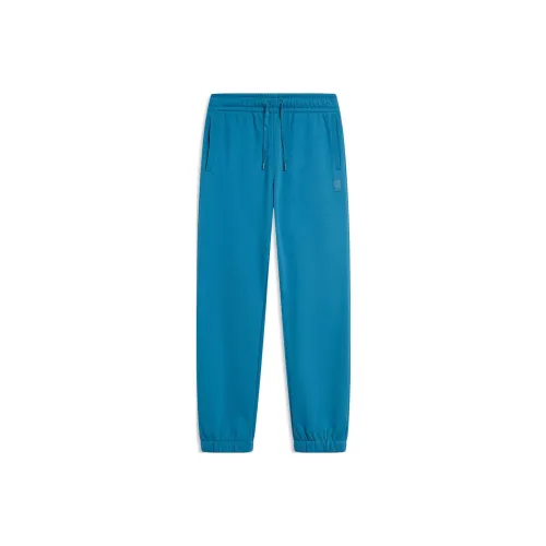 LINING Тренировочные брюки Мужские Темно-бирюзовые