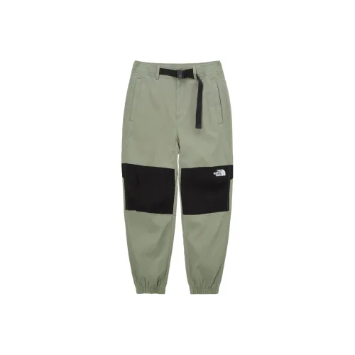The North Face Sports Life Collection Вязаные тренировочные штаны унисекс зеленые