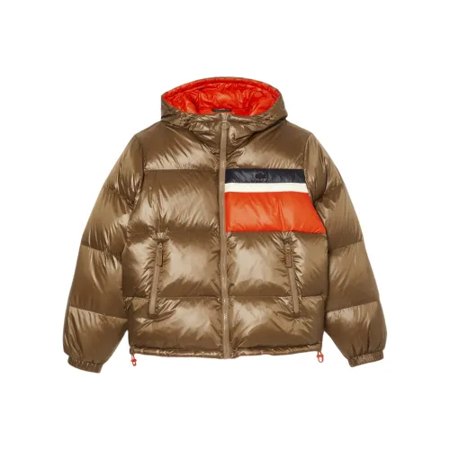 LACOSTE Collaboration Gold Men's Down Jackets
