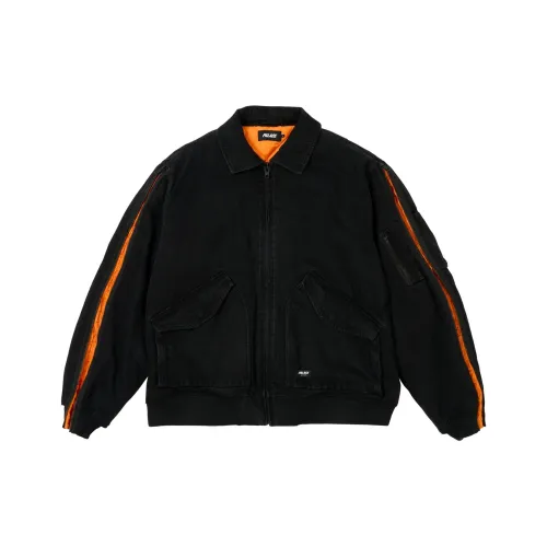 Дворцовый FW24 Черный Унисекс Куртка