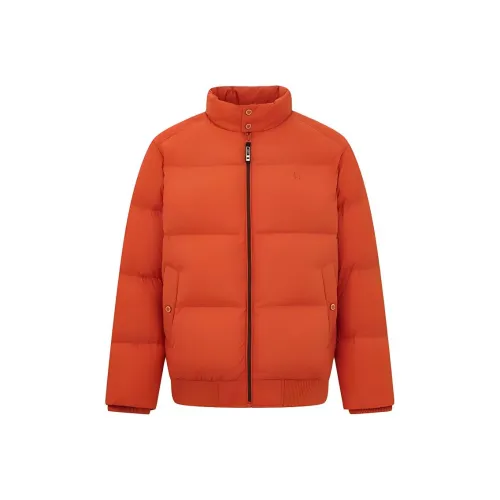 HAZZYS Мужские Пуховики