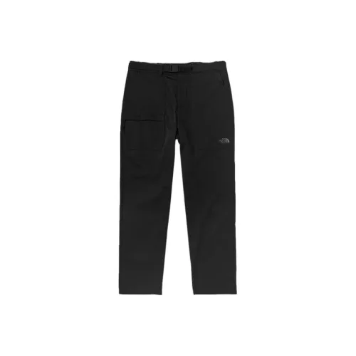 THE NORTH FACE SS22 Быстросохнущие Брюки Мужские
