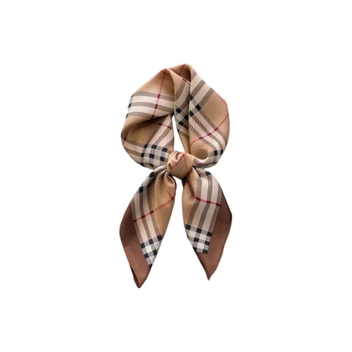 Youyoulan Полиэстер Женские шелковые шарфы