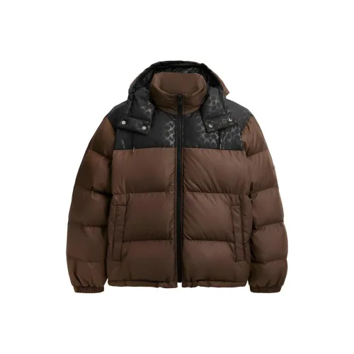 COACH Пуховик Мужской Темно-зеленый Мох