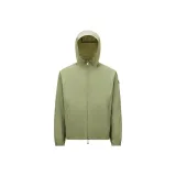 Шалфейный зеленый