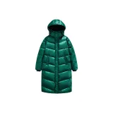 Вечнозелёный