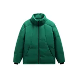 Вечнозелёный