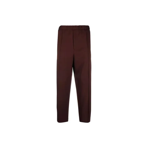 JIL SANDER Умбра Мужские Повседневные Штаны