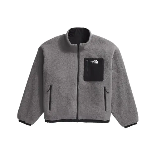 The North Face THE NORTH FACE Apparel Collection Серый Мужской Куртки