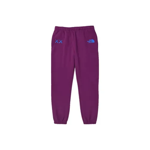 THE NORTH FACE x KAWS Urban Exploration Повседневные брюки Мужские Фиолетовые
