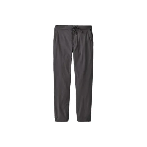 Patagonia Skyline Traveler Брюки Повседневные Брюки Мужские