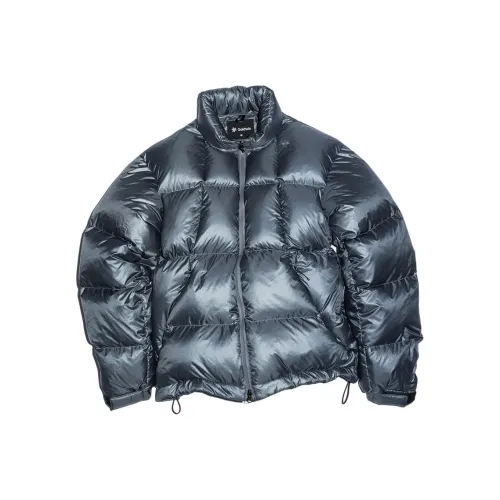 Goldwin FW24 Down Jacket Unisex Silver Black