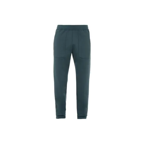 Stone Island Нефтяные Мужские Повседневные Брюки