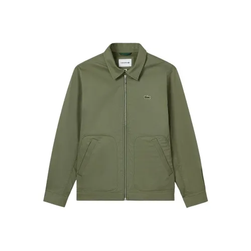 Куртки и пальто LACOSTE Collaboration Мужские Хаки Зеленый