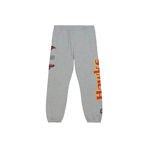 MITCHELL NESS Тренировочные брюки Мужские Серые