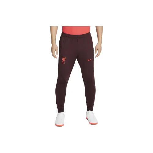 Nike Красно-коричневые Мужские Вязаные Тренировочные Штаны