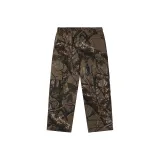 Ветви коричневый