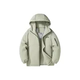 Серый Тень Зеленый