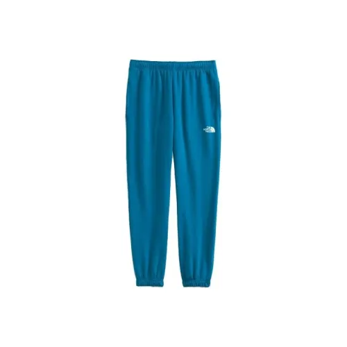 The North Face Blue Men's Knitted Training Pants The North Face Синий Мужские Вязаные Спортивные Штаны