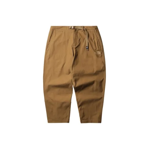 THE NORTH FACE Urban Exploration Коричневый Мужской Повседневные Штаны