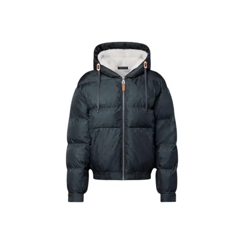 LOUIS VUITTON SKI Skiing Series FW24 Пуховик Мужской Зеленый