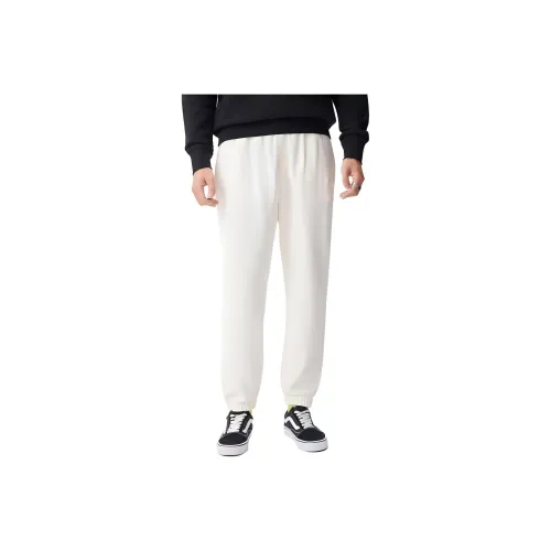 Dickies Вязаные Спортивные Брюки Унисекс