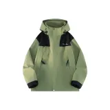 Кедр Зеленый