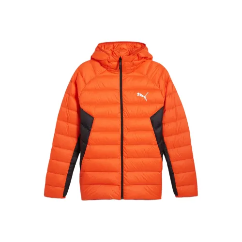 PUMA PACKLITE Пуховик Мужской Оранжевый