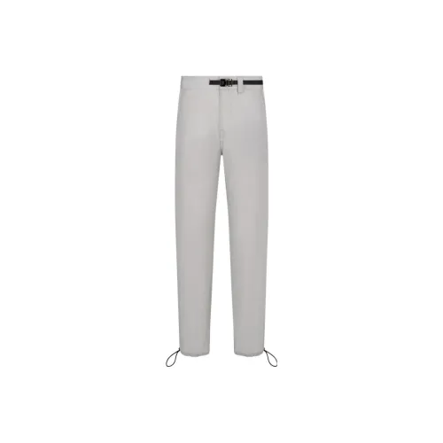 DIOR Quarterly New Products Серые Мужские Повседневные Штаны