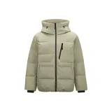 Серебристый, шалфейный, бежевый