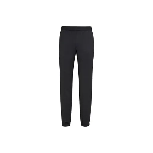 Ermenegildo Zegna Темно-синие Мужские Повседневные Штаны
