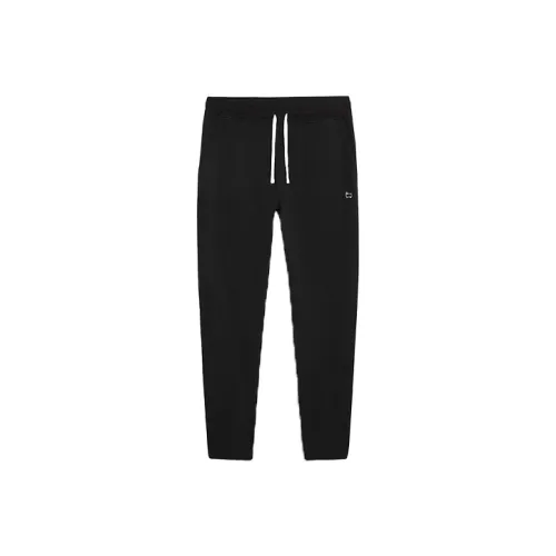 WOOLRICH Коричневый Мужской Повседневный Брюки