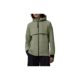 Кедр Зеленый