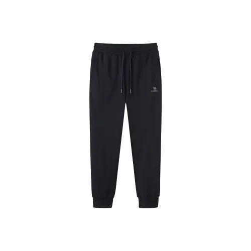 CAMEL 100% хлопок Дышащий Микро Эластичный Спортивные штаны с кружевом манжеты с эластиком вязаная модель дизайн мужской