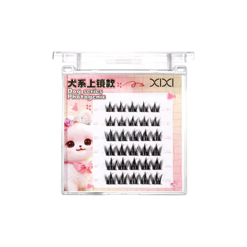 Xixi Собака Стиль Фотогеничный Стиль Накладные ресницы Укрепляющий Стиль 6 рядов из 30 кластеров