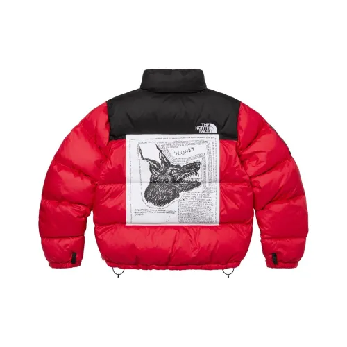 Supreme The North Face Пуховик Унисекс