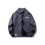 Пыльно-синий