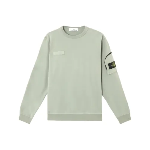 STONE ISLAND SS25 Шалфей Зеленый Мужской Свитшот